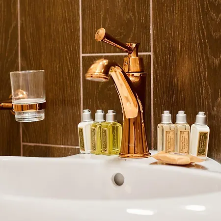 Apartman Florance Luxury In Saint *